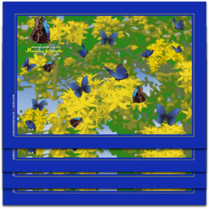 Individual Mariposas Azules 1