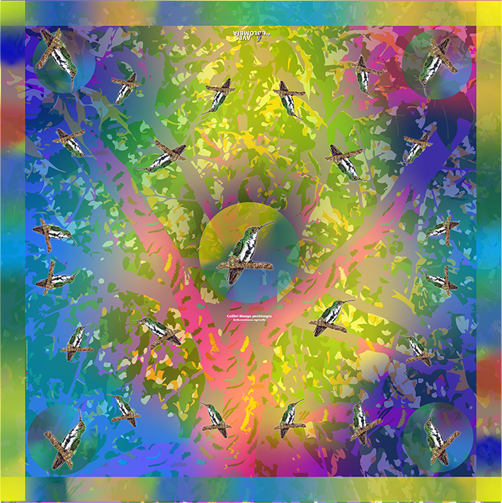 Pañuelo Aves de Colombia-Colibrí M.Pechinegro - Imagen 2