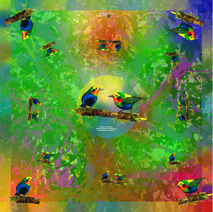 Pañoleta Av Col - Tángara Multicolor - Imagen 2